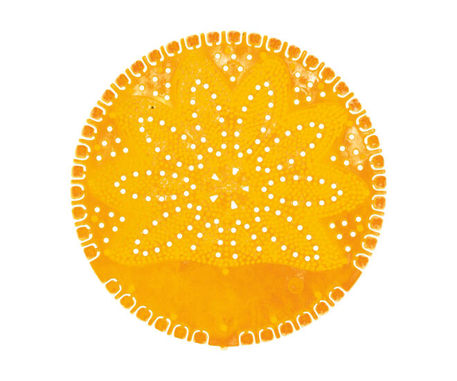 VividAir® Urinoirmat Summer Fruits oranje