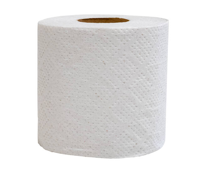 Toiletpapier 250 vel 2-lgs naturel rec