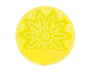 VividAir® Urinoirmat Citrus Fusion geel