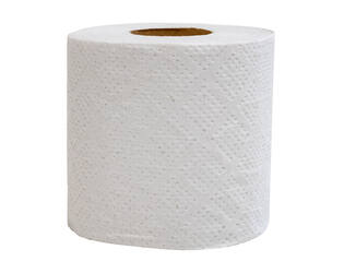 Toiletpapier 250 vel 2-lgs naturel rec